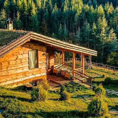 Панорама Хаус Лещен И Еко Къщи Дървена И Землянка Exterior photo