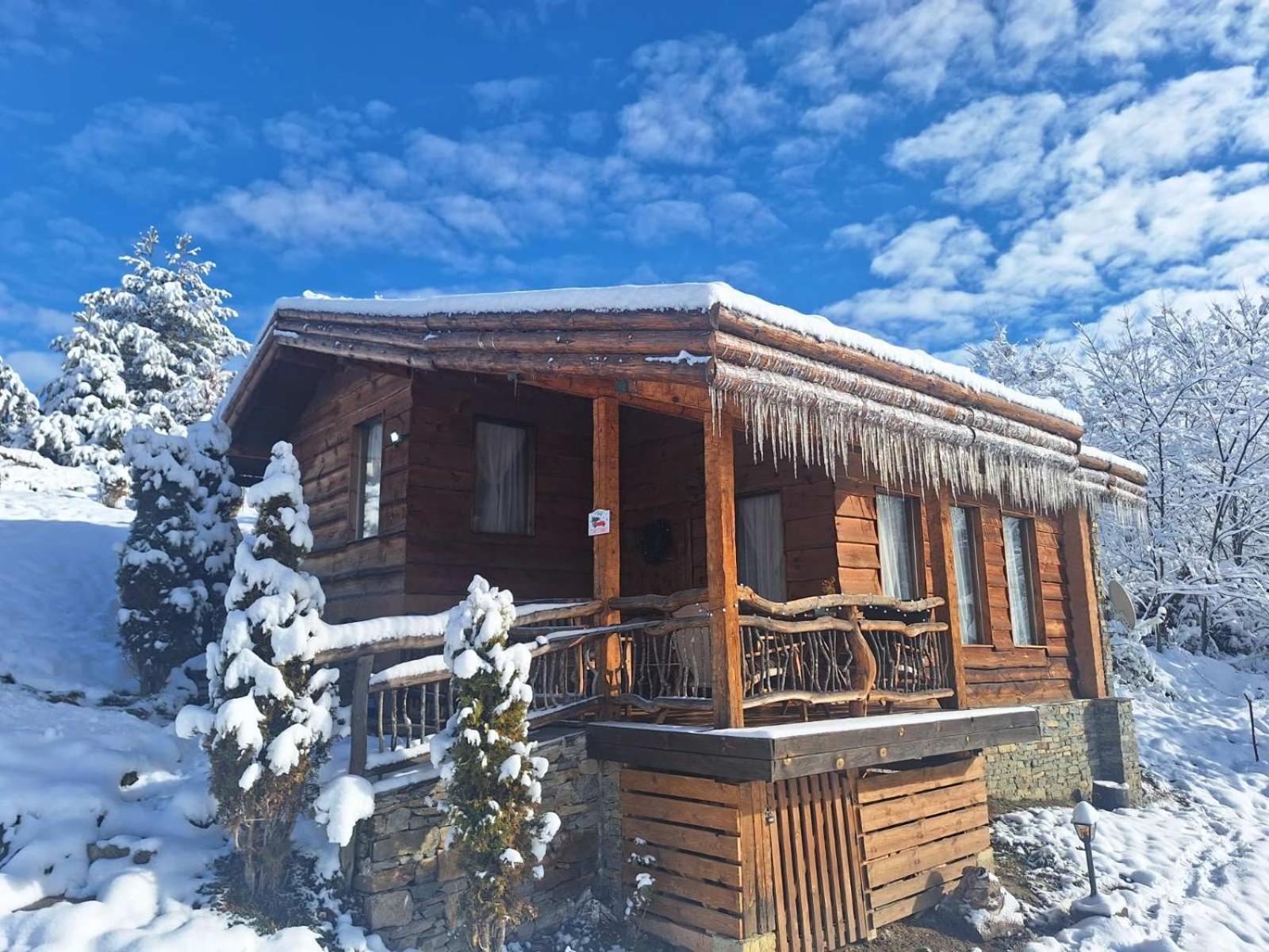 Панорама Хаус Лещен И Еко Къщи Дървена И Землянка Exterior photo