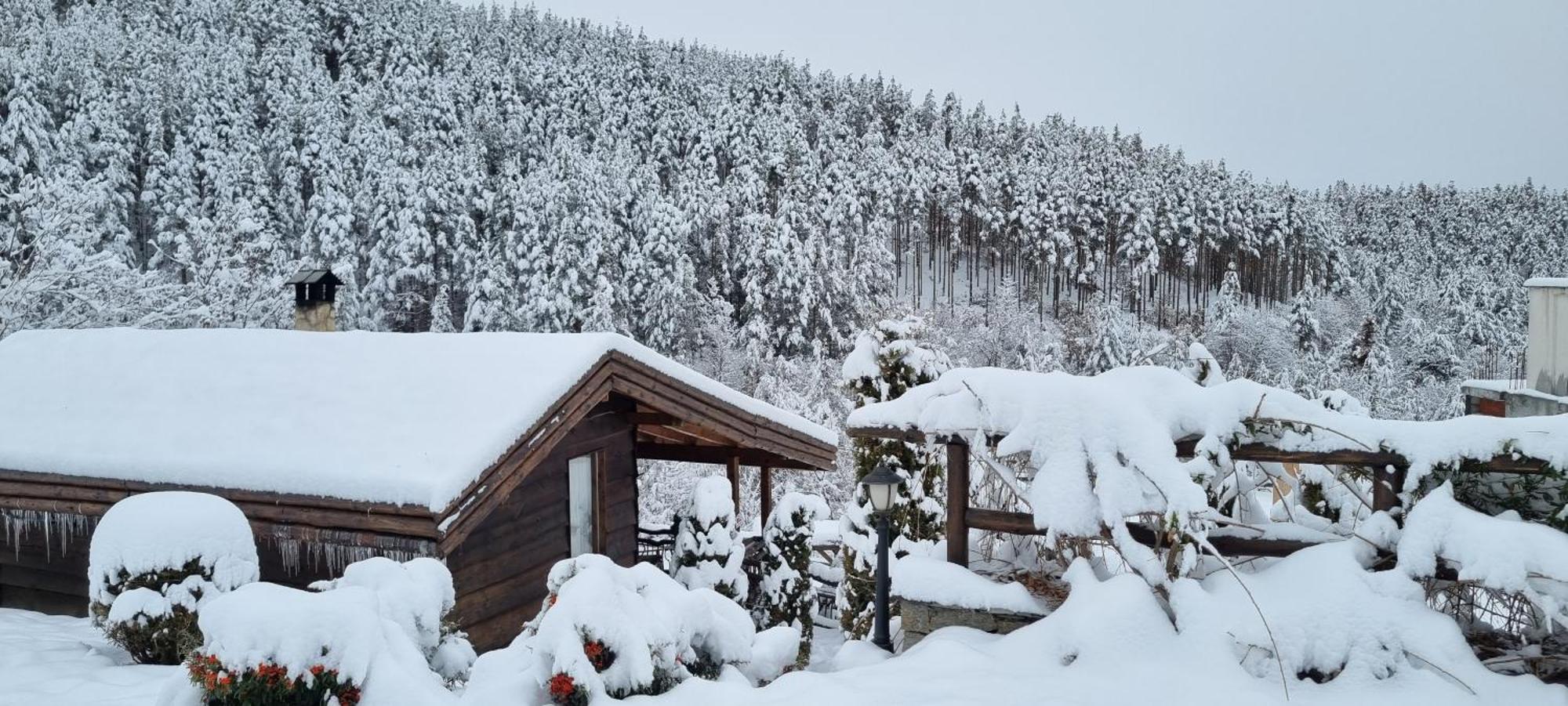 Панорама Хаус Лещен И Еко Къщи Дървена И Землянка Exterior photo