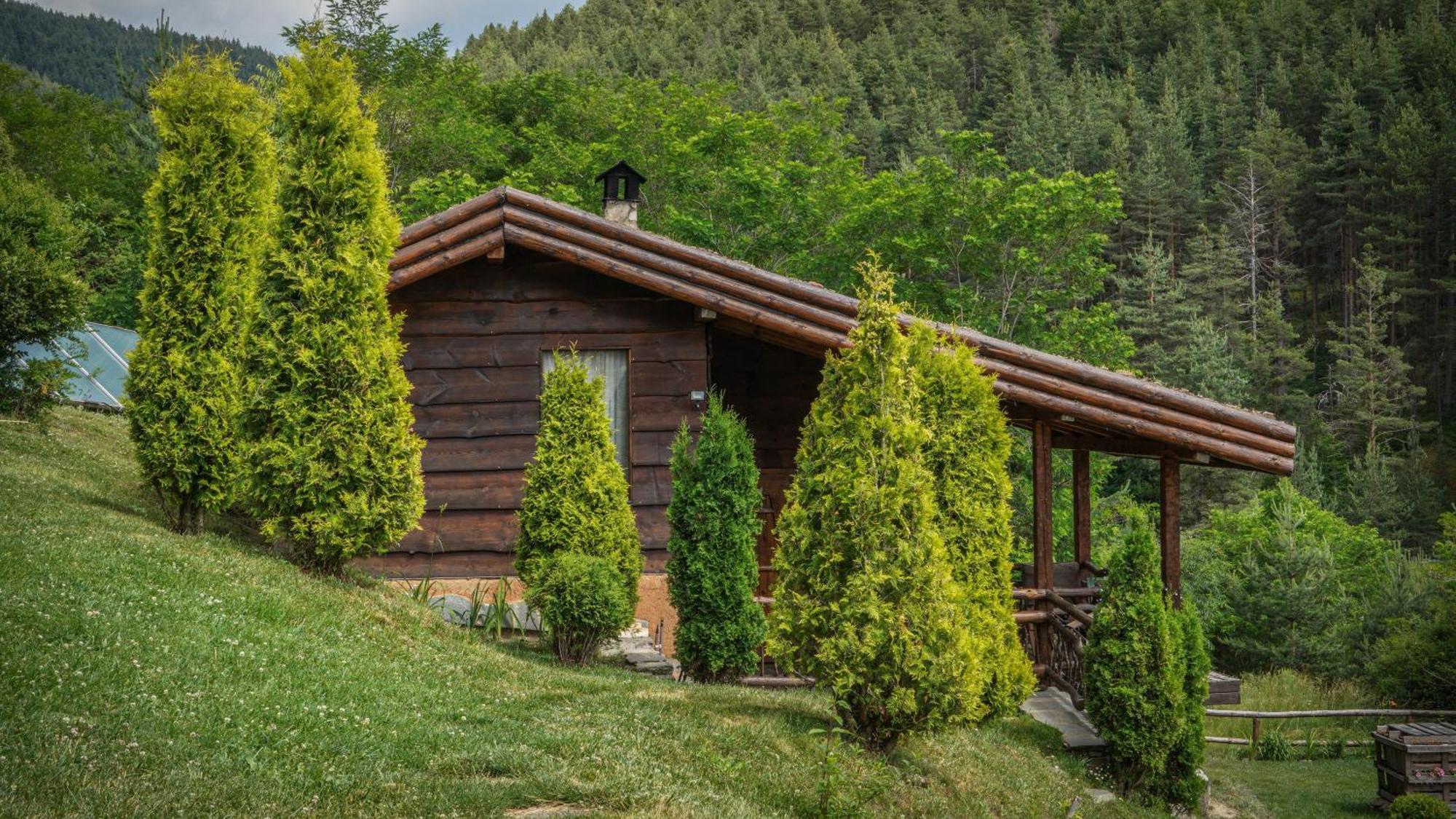 Панорама Хаус Лещен И Еко Къщи Дървена И Землянка Exterior photo
