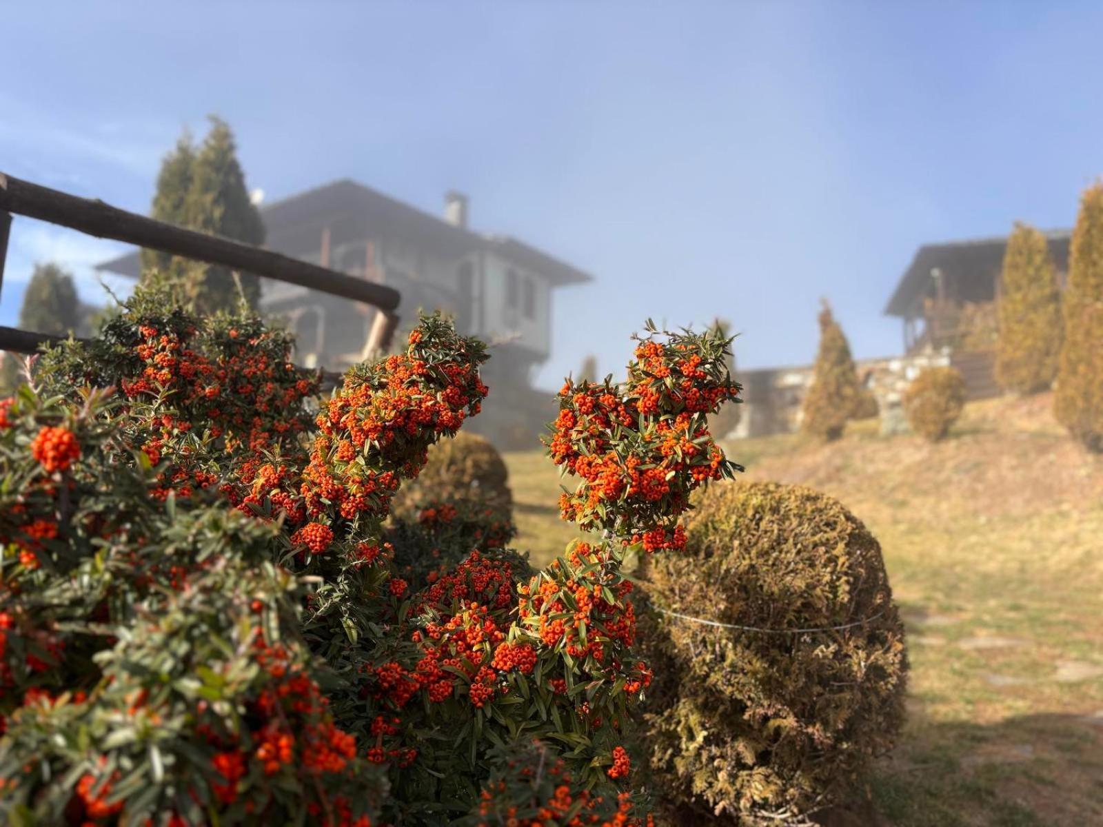 Панорама Хаус Лещен И Еко Къщи Дървена И Землянка Exterior photo